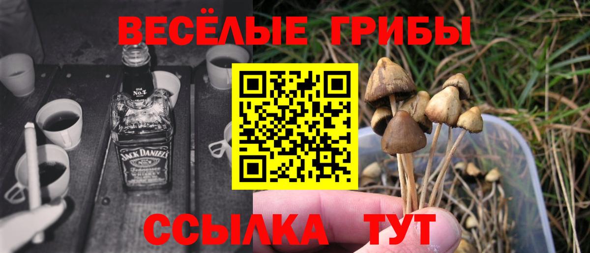 Галлюциногенные грибы ЛСД  Вход с VPN  Заволжье  Галлюциногенные грибы Psilocybine cubensis 